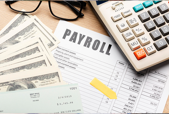 hr payroll solution